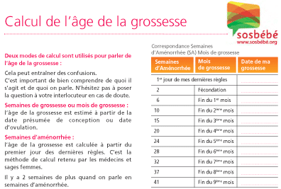 Calculer semaine de grossesse en mois