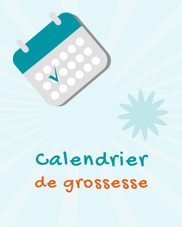 Calcul de grossesse