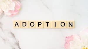 adoption